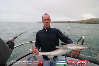 11 lb Starry Smooth-hound by Phil