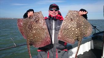 11 lb 7 oz Thornback Ray by Tim from thanet