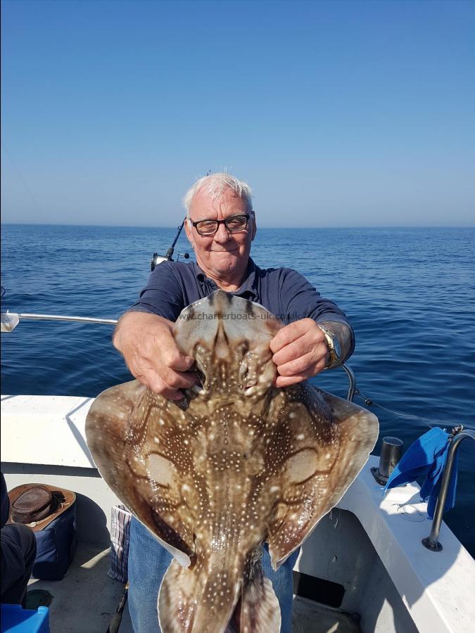 12 lb Undulate Ray by Unknown