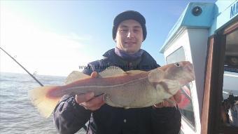 3 lb 2 oz Cod by Tom from London