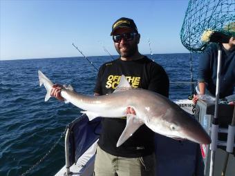 34 lb Tope by Unknown