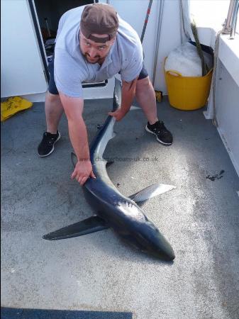 80 lb Blue Shark by Mick