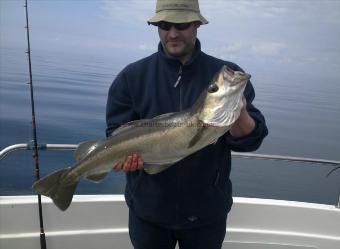 11 lb 2 oz Pollock by Rich