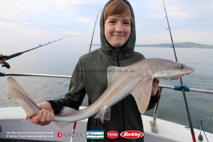 4 lb Starry Smooth-hound by Ella