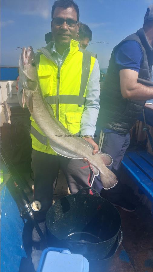 8 lb Ling by Unknown