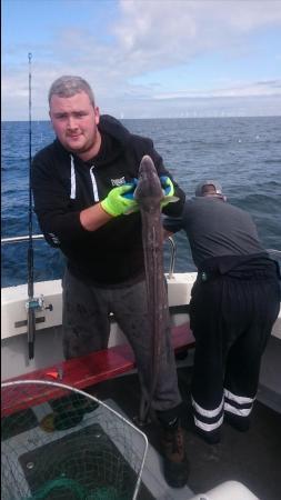 15 lb Conger Eel by Unknown