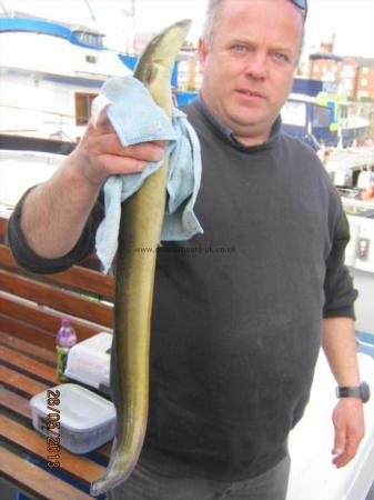 1 lb 9 oz European Eel by Unknown