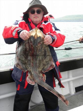 16 lb 7 oz Undulate Ray by Unknown