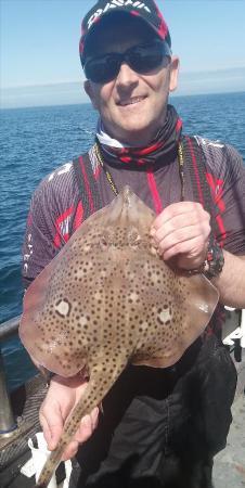 4 lb 12 oz Cuckoo Ray by stuart