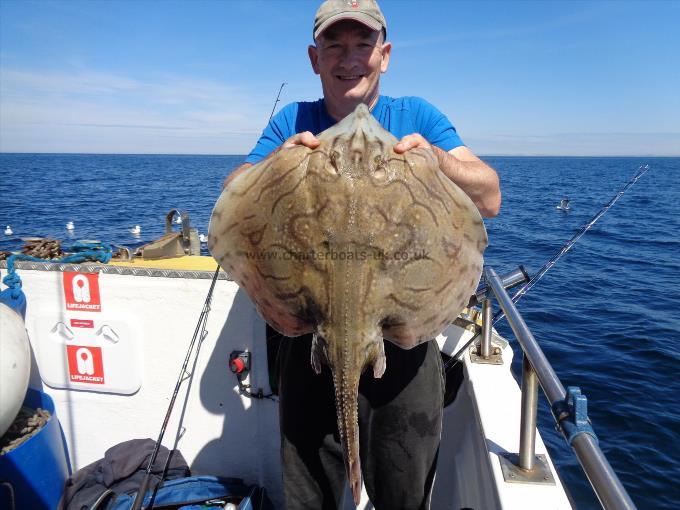 14 lb Undulate Ray by Unknown