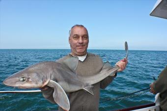 17 lb 1 oz Starry Smooth-hound by Nigel