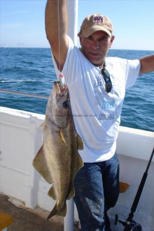 8 lb 10 oz Pollock by Unknown