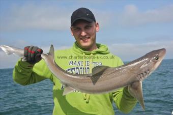 12 lb Starry Smooth-hound by Artur