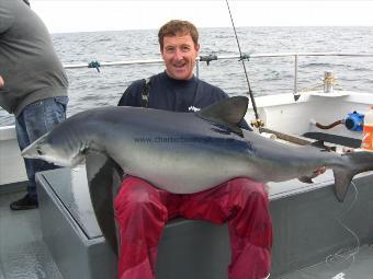 168 lb Blue Shark by mark watson