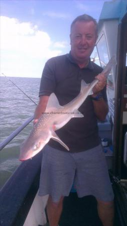 6 lb 5 oz Starry Smooth-hound by john from broadstairs