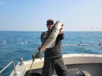 7 lb Pollock by Stephen Wake