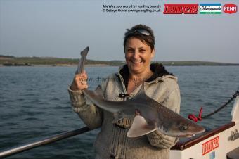 12 lb Starry Smooth-hound by Jo
