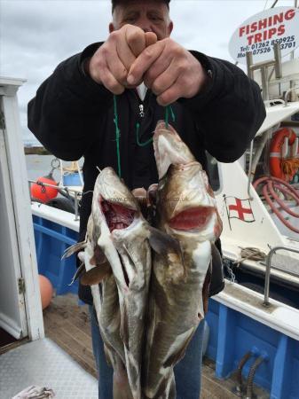 7 lb Cod by eric smith from barnsley