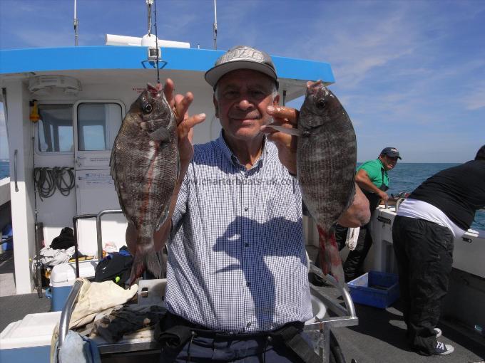 2 lb 8 oz Black Sea Bream by Unknown