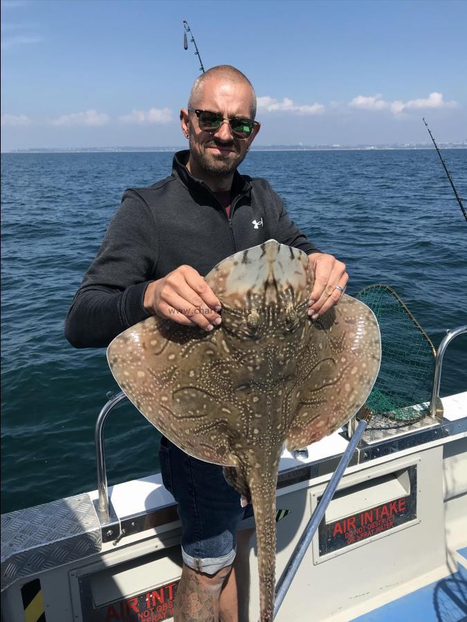 13 lb Undulate Ray by Gaz