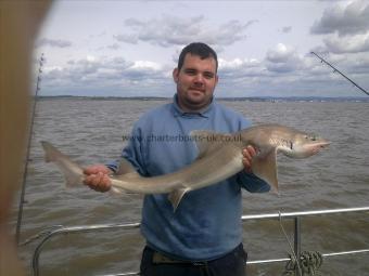 13 lb 4 oz Smooth-hound (Common) by dave bowring