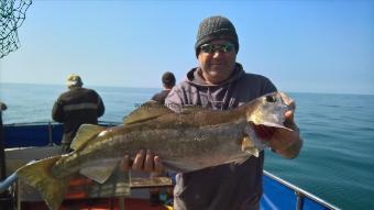 9 lb Pollock by Stephen Wake