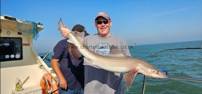 15 lb 12 oz Starry Smooth-hound by Keith