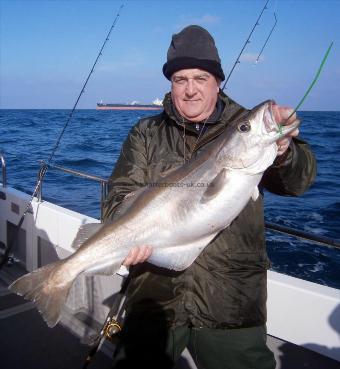 18 lb 6 oz Pollock by Barry