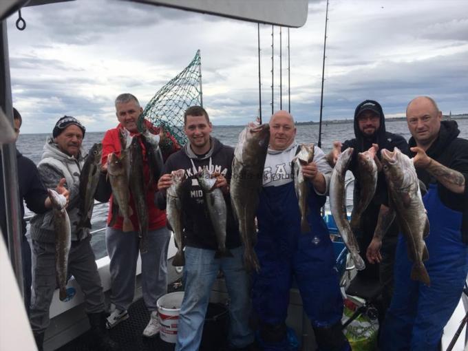 17 lb Cod by Unknown