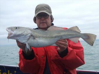 7 lb Cod by Dave Palmer