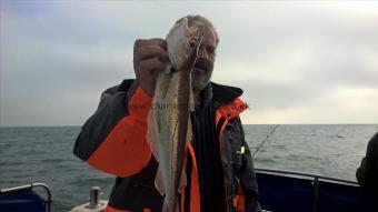 2 lb Whiting by Stephen Wake