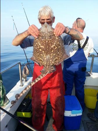 8 lb Thornback Ray by Dave Fung