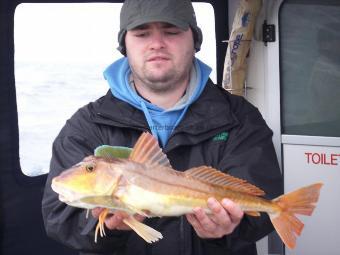 4 lb 13 oz Tub Gurnard by matt akery