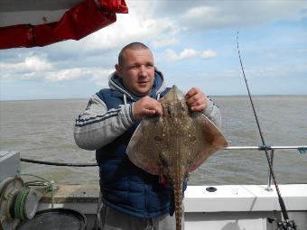 5 lb Thornback Ray by Robert