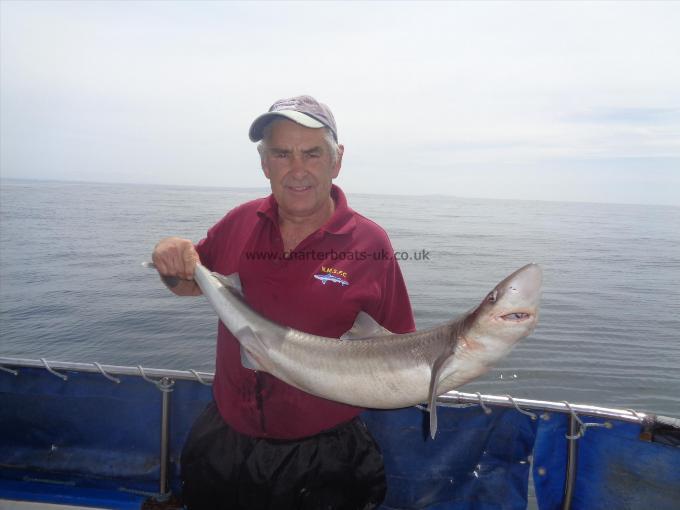 17 lb 6 oz Tope by caught by brian