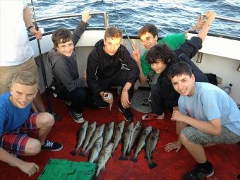 5 lb 2 oz Cod by Unknown