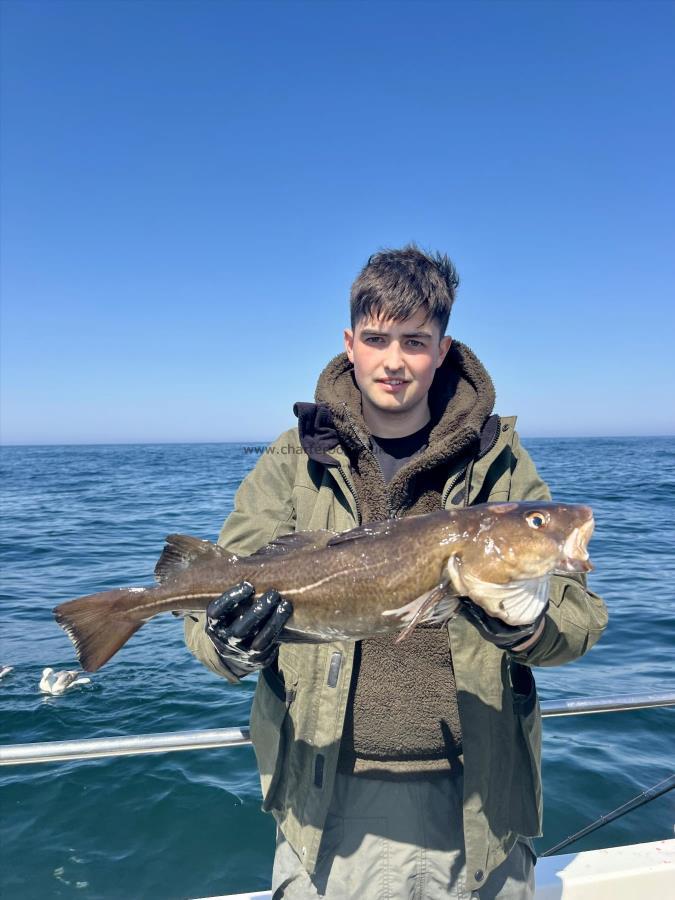 5 lb 4 oz Cod by Will Freeman