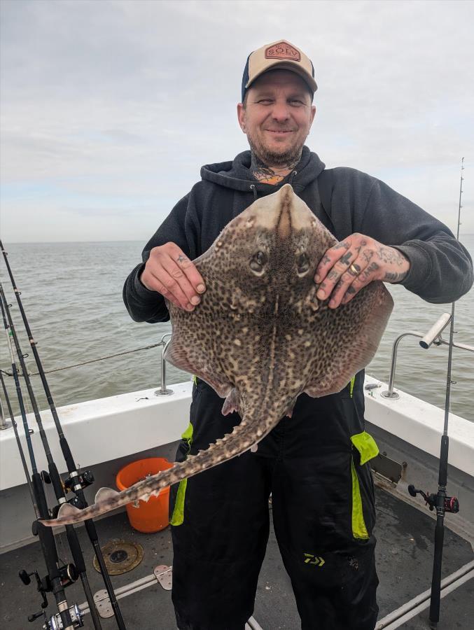 8 lb Thornback Ray by Scott