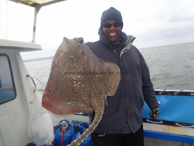 12 lb 10 oz Thornback Ray by caught and released by mark