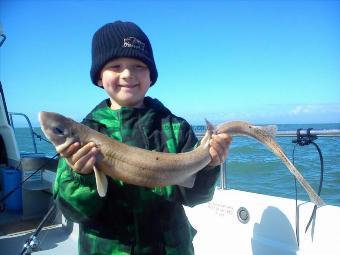 3 lb 9 oz Lesser Spotted Dogfish by Steve Pilbrow