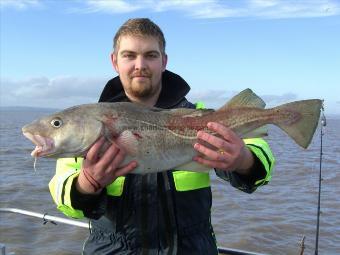 14 lb 8 oz Cod by Unknown