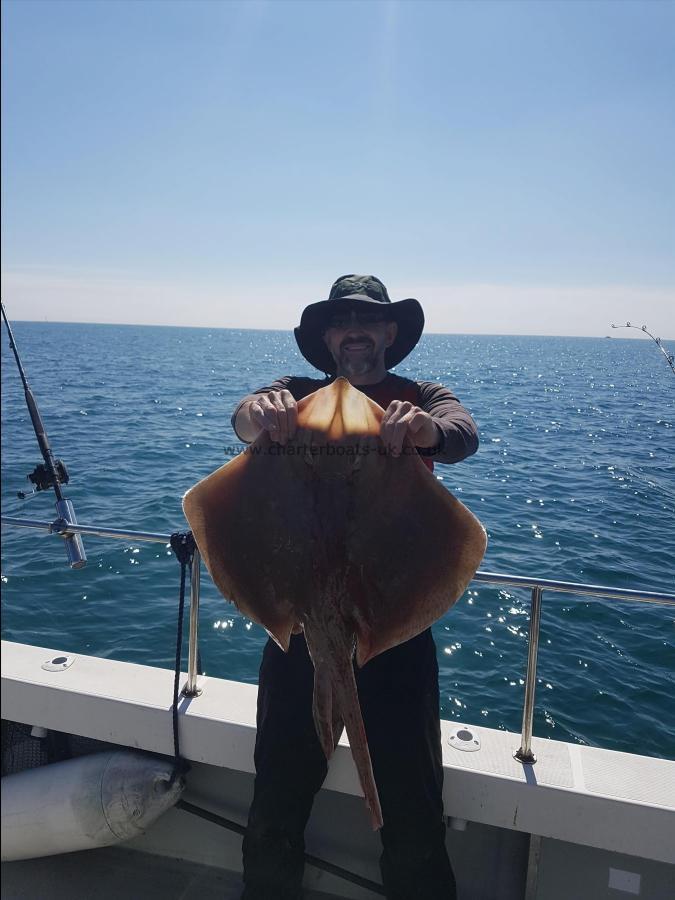 14 lb Blonde Ray by Unknown