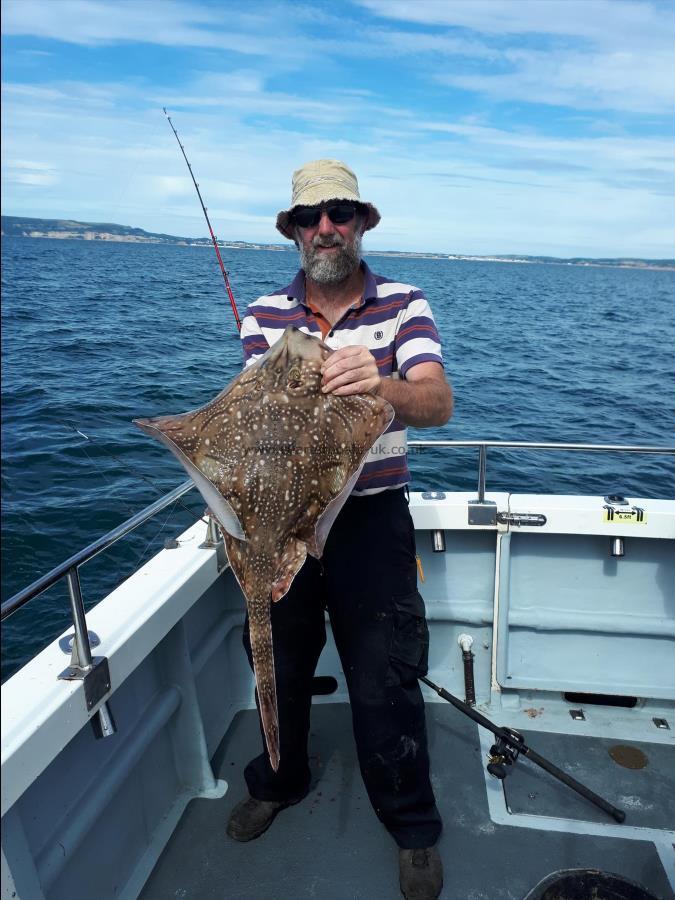 14 lb Undulate Ray by Unknown