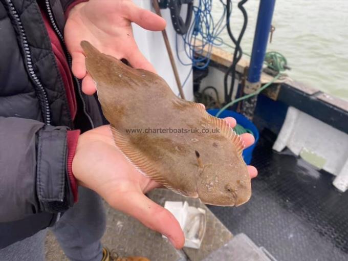 1 lb Dover Sole by Unknown