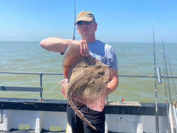 8 lb Thornback Ray by Unknown