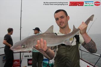 6 lb Starry Smooth-hound by Marcus