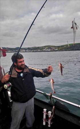 1 lb Grey Gurnard by matt