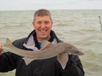5 lb Smooth-hound by Brian Hudson