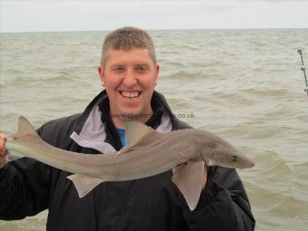 5 lb Smooth-hound (Common) by Brian Hudson