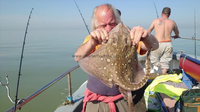 4 lb 6 oz Thornback Ray by David